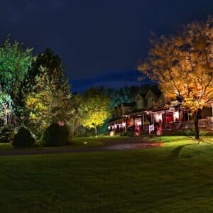 Illuminated trees in front of a house