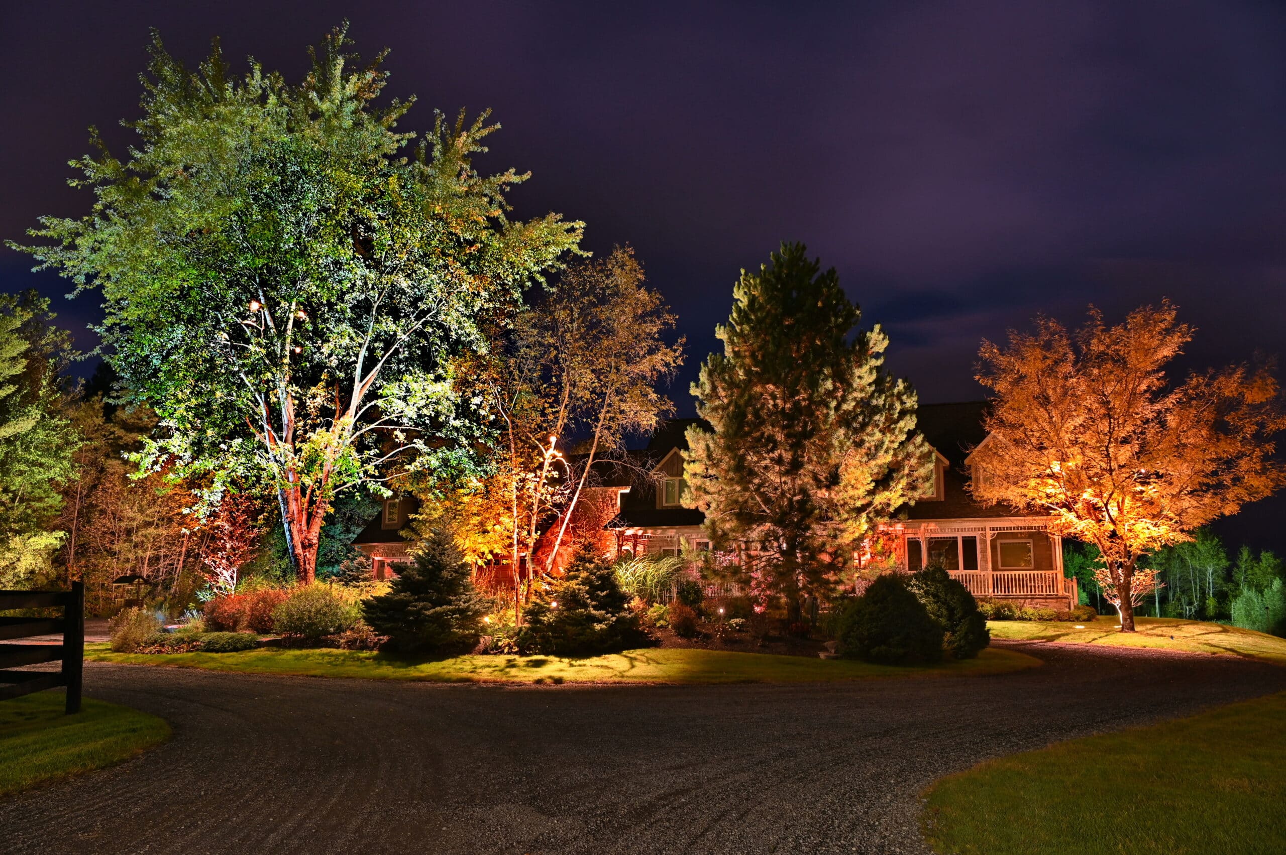 Illuminated trees in front of a house