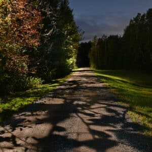 Road in the forest at night