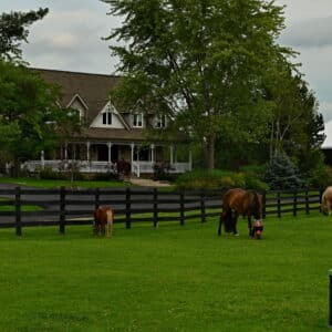 Horses graze in front of a large house